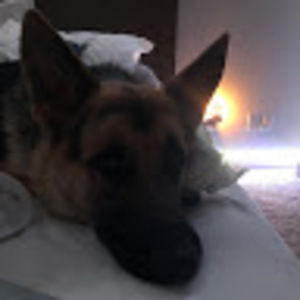 Meet your Posher, Riley